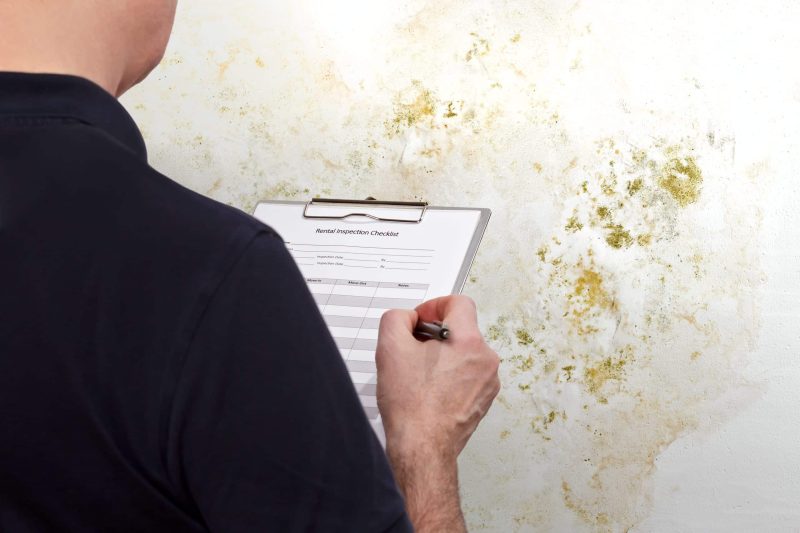 mold remediation NH
